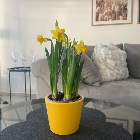 Apartment 4-sterne Krill Bad Wurzach